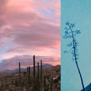 Meet your Posher, Rosemary